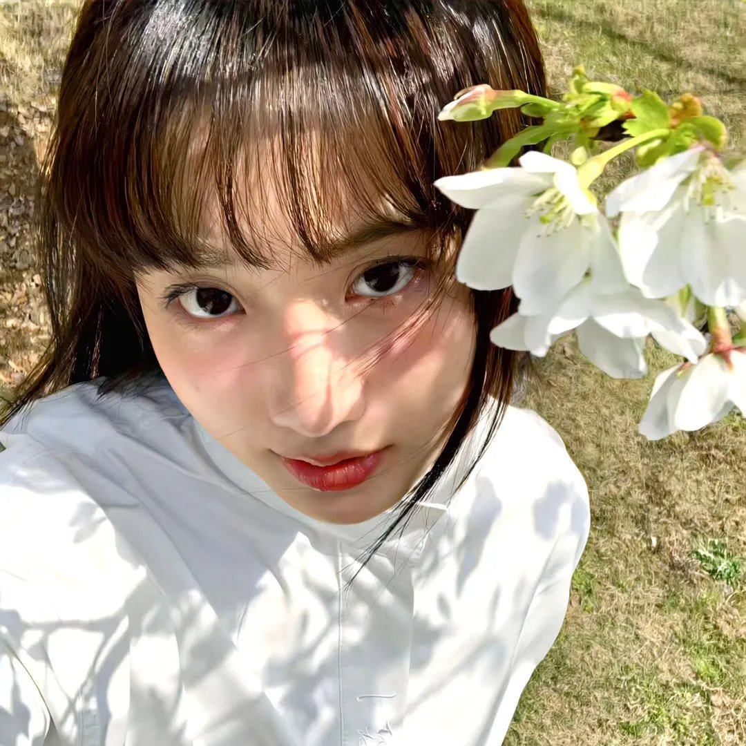 美人心蛊